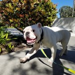 mrmylesguy