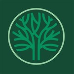 oaksummitseeds