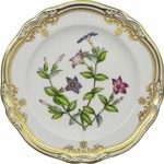 englishceramics
