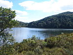 otaviomoser