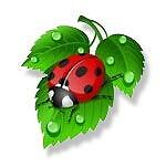 ladybug_tattoo