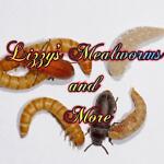lizzys_mealworms_n_more