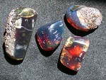 amber_resin_fossils