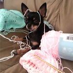 twistedyarn