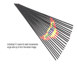 UT-phased-array.png