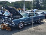 vwturbodiesel