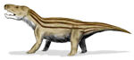cynognathus