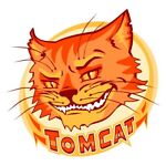 tomcat812