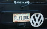 flatbug