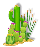 cactusneedle2000