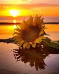 willandgavsmom0218
