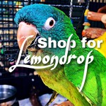 shopforlemondrop