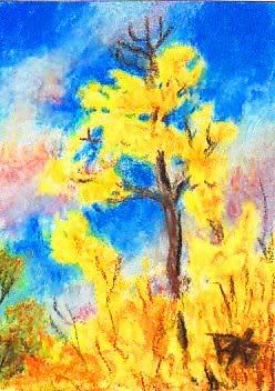 ACEO Autumn Gold