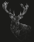 crowncoonline