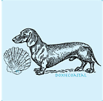 doxiecoastal