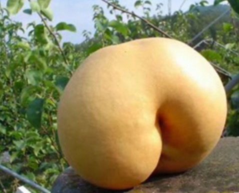 Image result for sexy vegetables