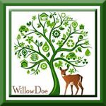 willow_doe