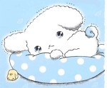 fluffyblulaundry