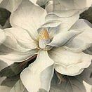 magnolia.boudoir