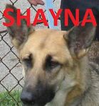 shaynas_my_girl