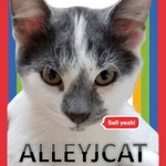 alleyjcat