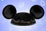 mad4disneytoo