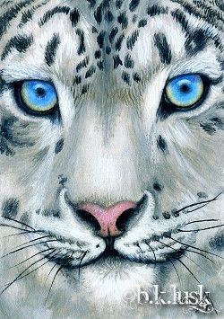 ACEO oil on board