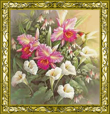 animated hummingbird photo: Humming Bird HummingBird_holliquinn.gif