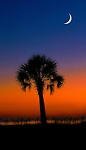 crescent_moon_outfitters