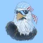 2014usmemo
