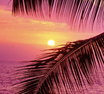endlesssunset