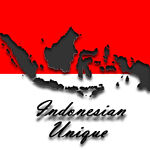 indonesiaunique
