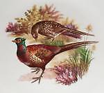 pheasantvillecollectables519