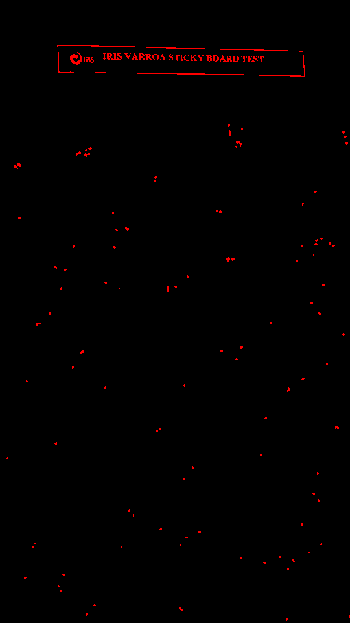 bg.png