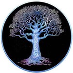 eastcoastexclusivedistribution