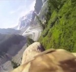 hawksvista