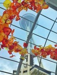 zachlily-seattle