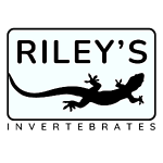 rileysinverts