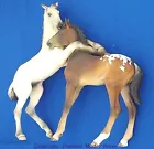 premier_model_horse