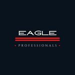 professional_eagle_parts