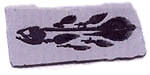 crystalflyshop