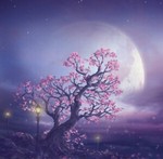 underthedestinymoon