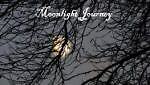 moonlightjourney