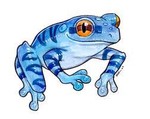 blufrog1818