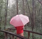 mamamasha