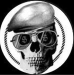 skull_gear