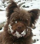 gizmo*s_collectables1