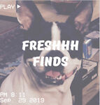 freshhhfinds