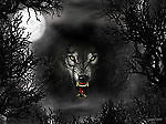 ravenwolf10