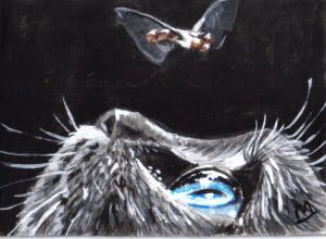 cat &amp; fly